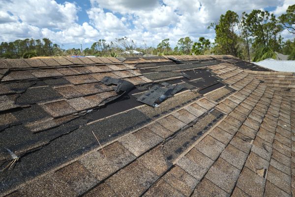 Roof Damage Repair in San Ramon