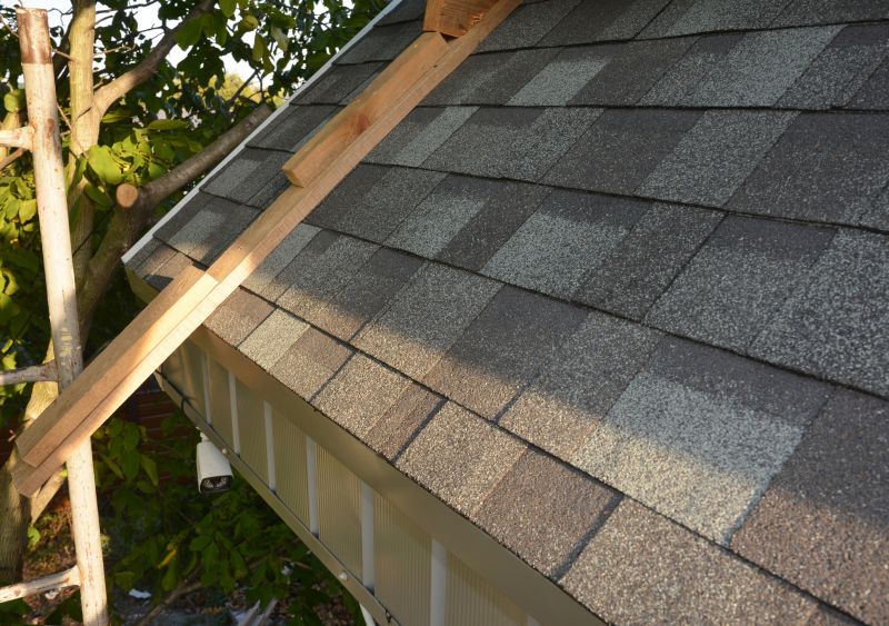 What To Expect During A Professional Asphalt Shingle Roof Repair